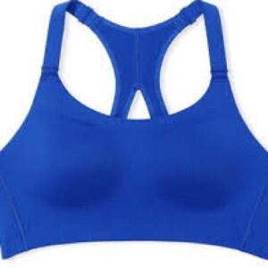 Victoria’s Secret Incredible Max High Impact On Point 38DDD Blue SportS Bra